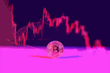 The Investor’s Edge: How to Survive a Crypto Bear Market and Win the Long Game